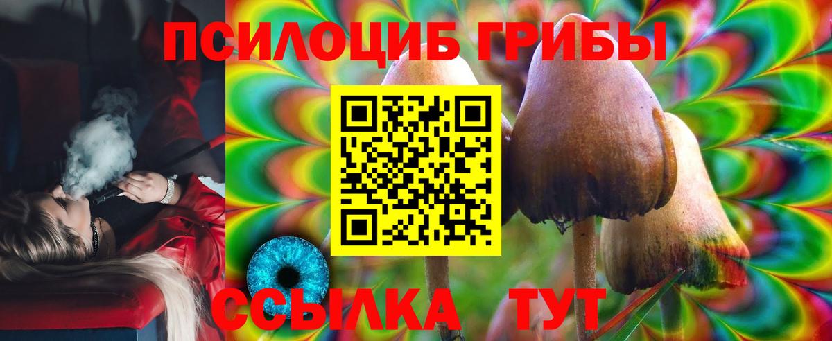 Южноуральск  Псилоцибиновые грибы Psilocybe  Вход с VPN 