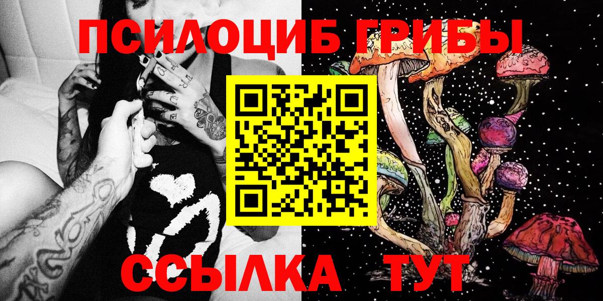 Псилоцибиновые грибы Psilocybe Южноуральск